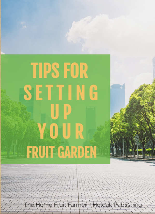 Tips For Setting Up Your Fruit Garden