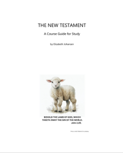 New Testament Study Guide