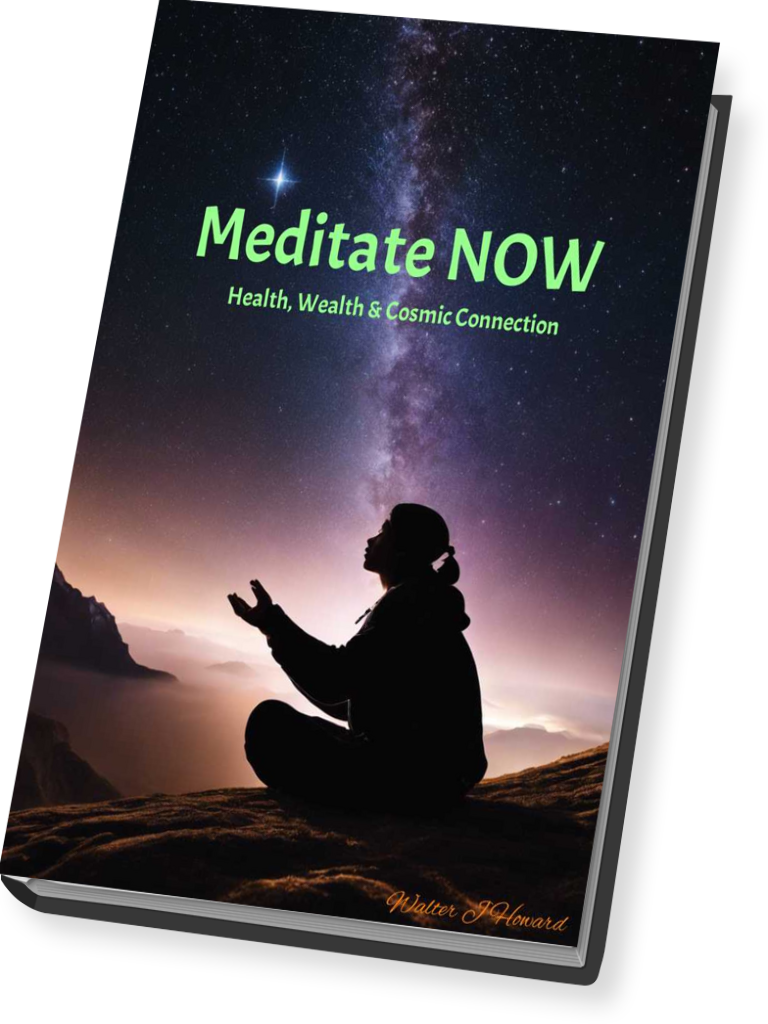 Meditate NOW: Health, Wealth & Cosmic Connection