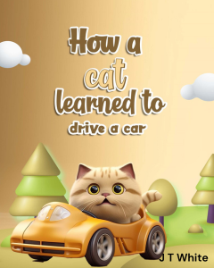 How a Cat Learned to Drive a Car