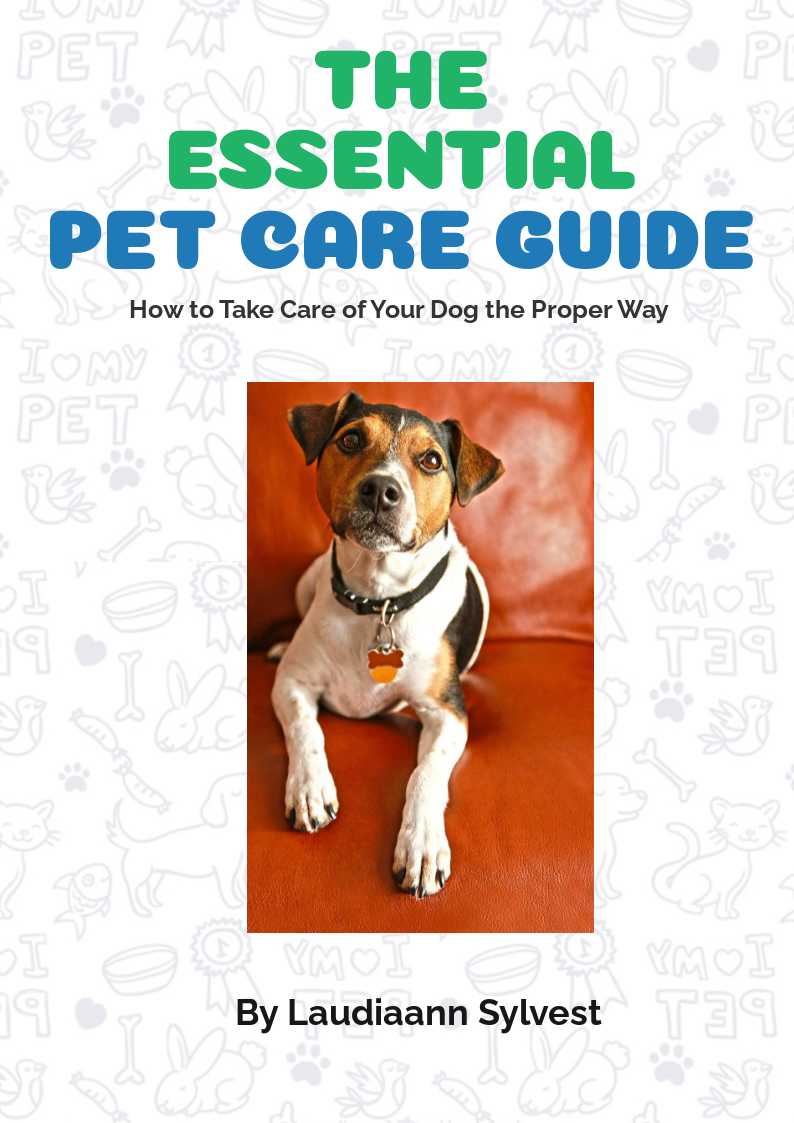 How to take care of your Dog the Proper way