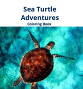 Sea Turtle Adventures