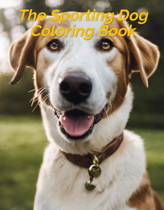 The Sporting Dog Coloring Book