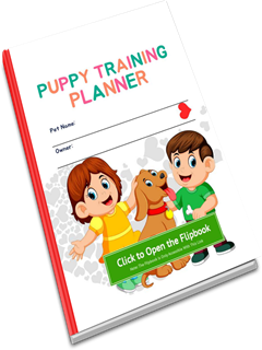 Puppy Training Flipbook