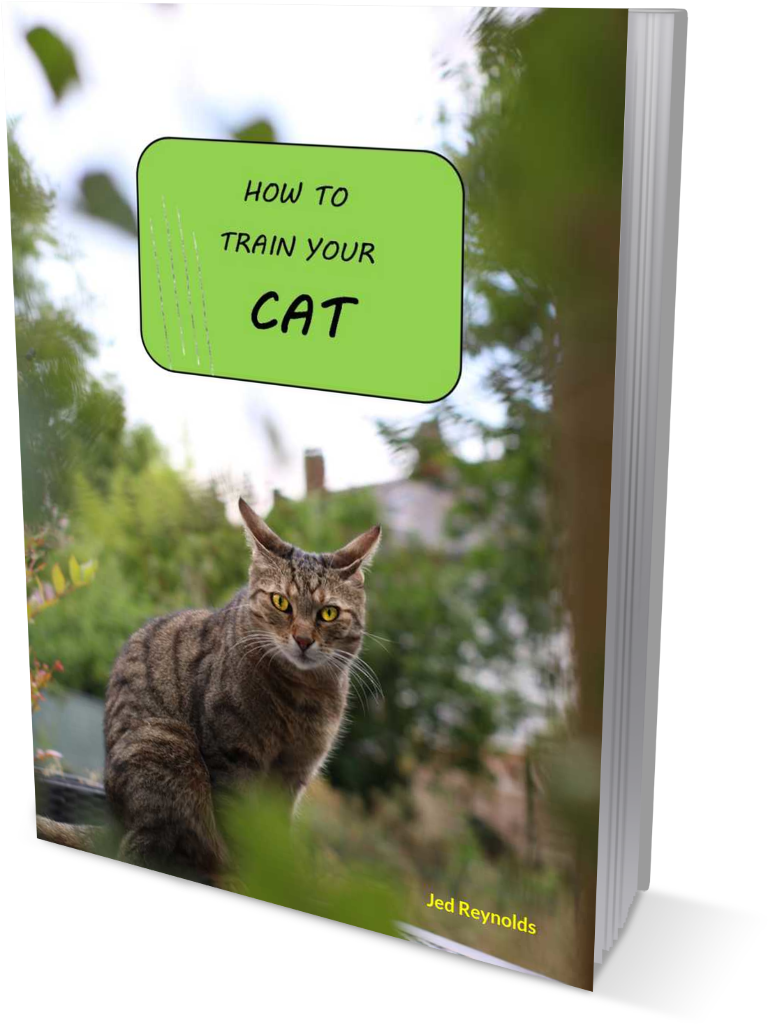 How to Train Your Cat
