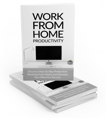 Work From Home  Productivity