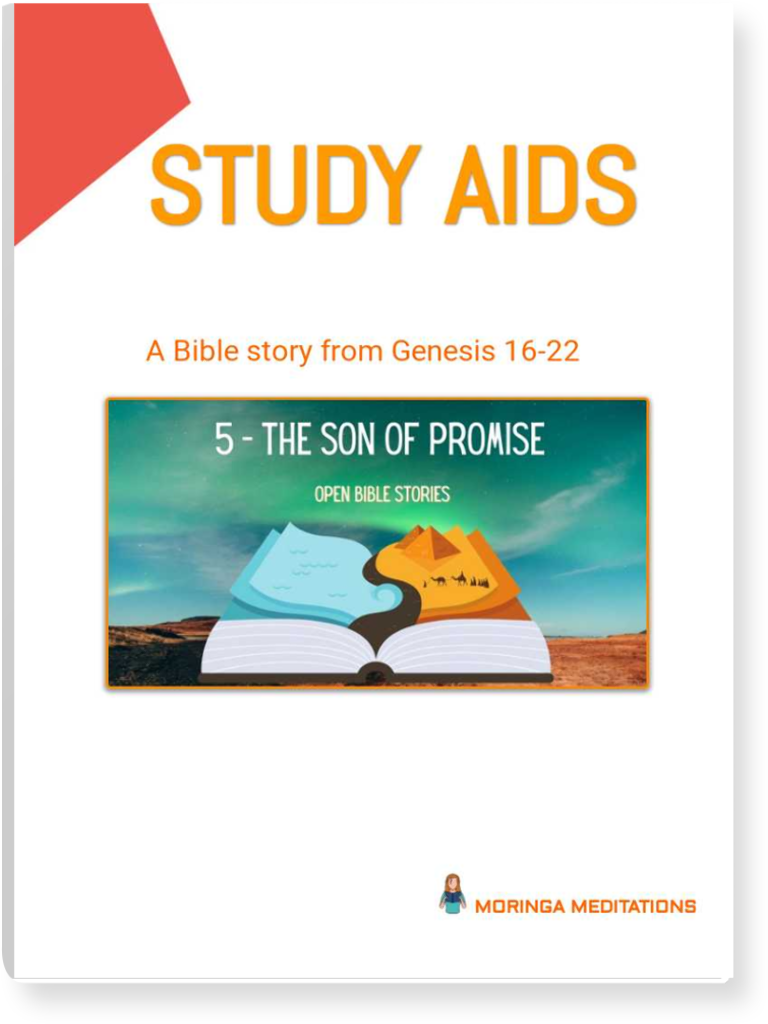 Study Aids Story 5 The Son of Promise