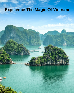 Experience The Magic Of Vietnam