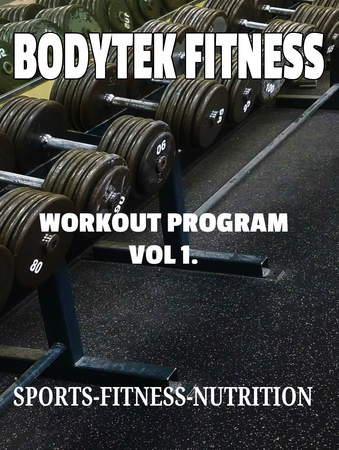 BODYTEK FITNESS VOL1